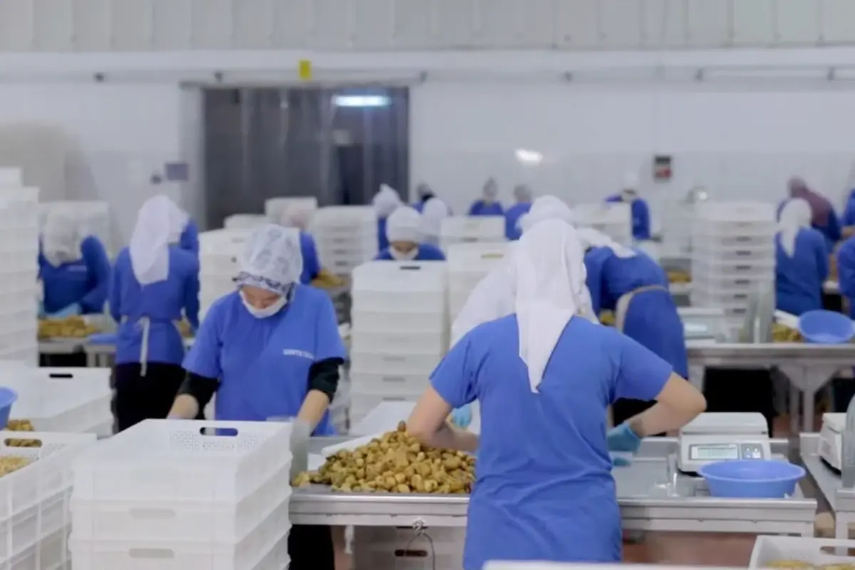 14 ulkeye ihracat yapan turk gida devi konkordato ilan etti PdG54HEs