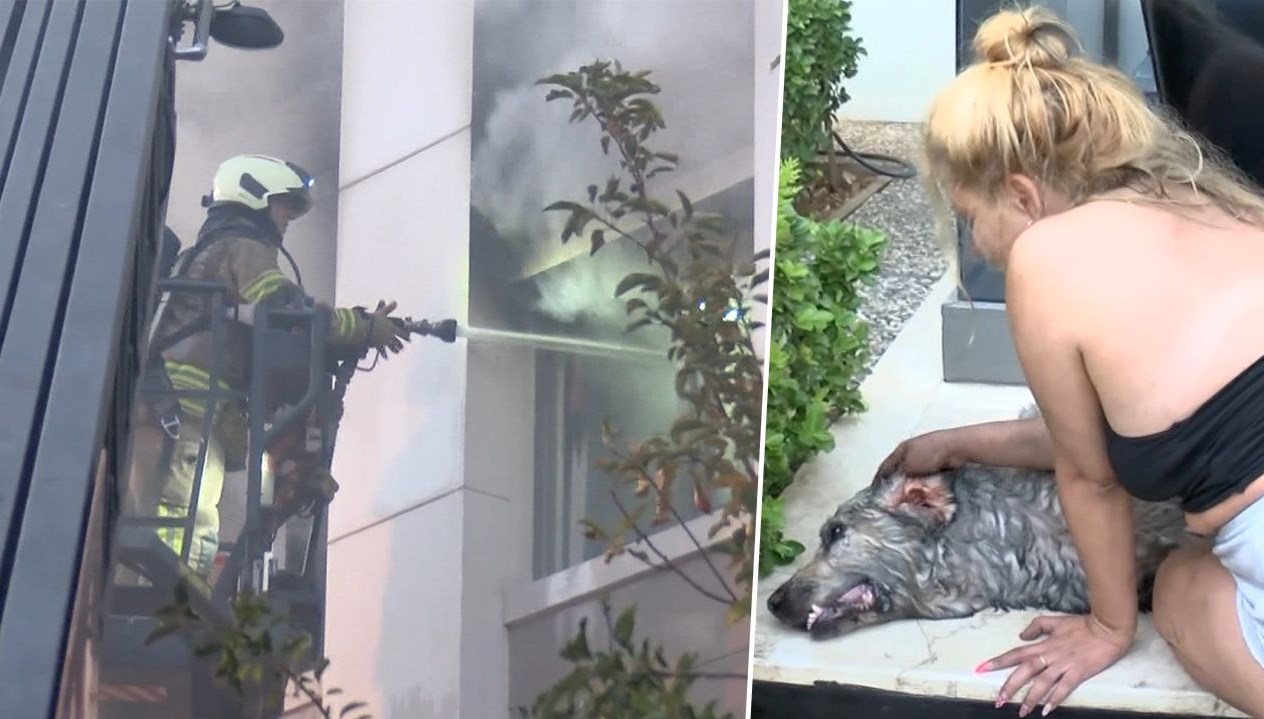 ares kurtarilamadi gozyaslarina boguldu vXE6lax8