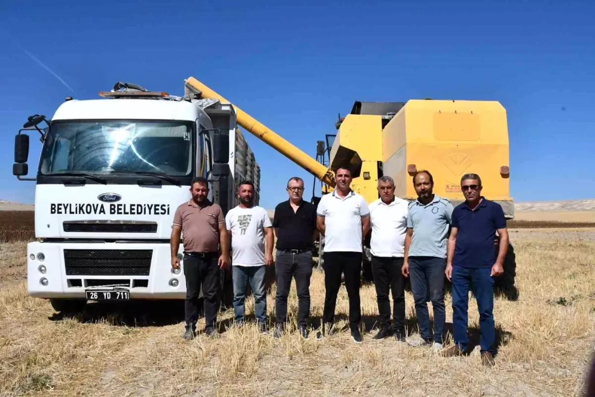 beylikovada yaglik aycicegi hasadi basladi 4 milyon tl ek gelir saglandi TlTyuWG9