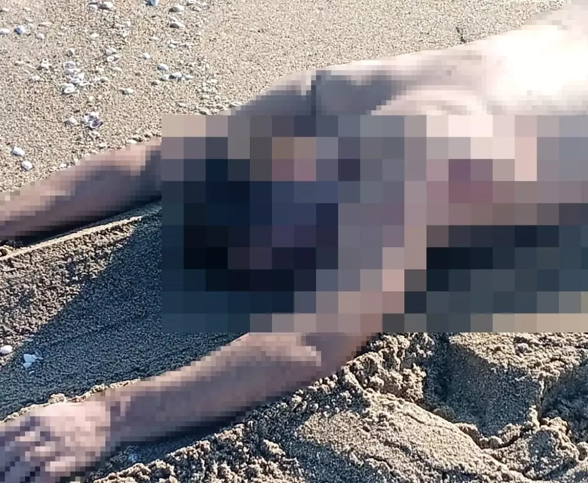 sakaryada ciplak erkek cesedi bulundu l4vQuIKc